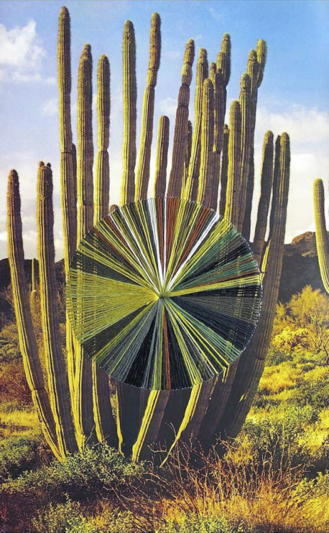 sybilius: nevver: Threads in time, Natalie Ciccoricco (because) @madtumbleson speaking of sampled pa