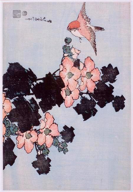 nobrashfestivity: Katsushika Hokusai, Hibiscus and Sparrow, from an untitled series of Large Flowers