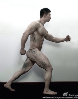 Asian Muscle Fetish