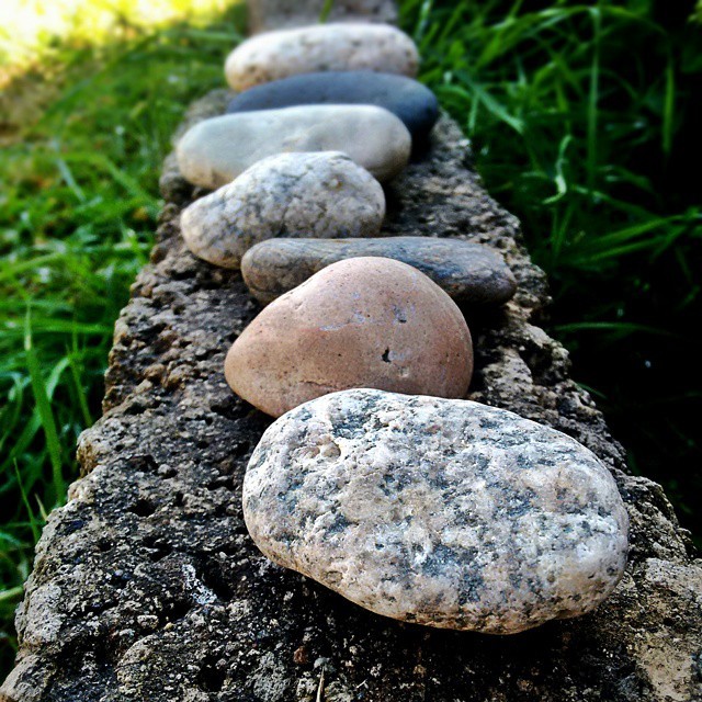 Ocio de las 10 de la mañana. Piedras desde Jalisco hasta mi jardín.  #Stone #Garden