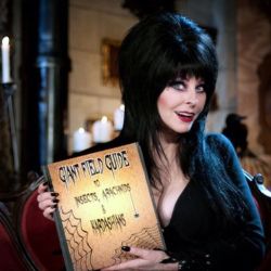 elvirafanatic:Speaking of creepy crawlies ❤ 🕷#queenofhalloween #elvira 🕷🕷🕷#elviramistressofthedark #emotd #elviramotd #hero #fridaythe13th #cassandrapeterson #mistressofthedark #moviemacabre #elvirasmoviemacabre #horror #horrorfan #horrormovies