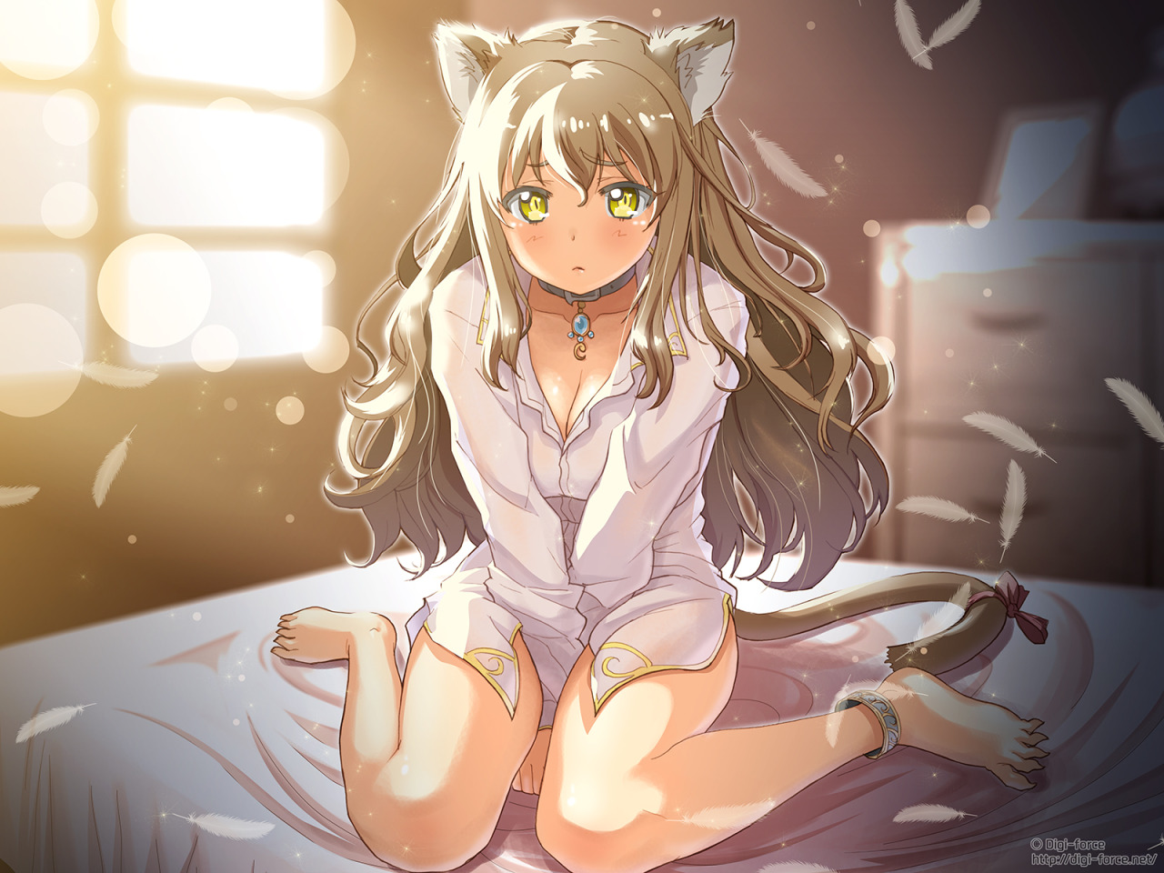 Sexy catgirls and stuff