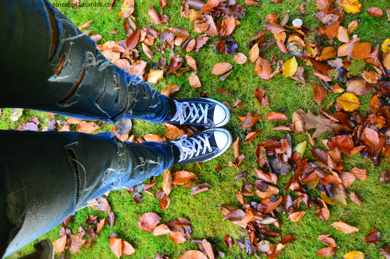 pineappl3:  Yaaay fall :D 