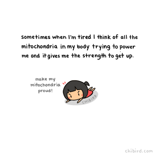 Porn Pics chibird:  Your mitochondria are working hard