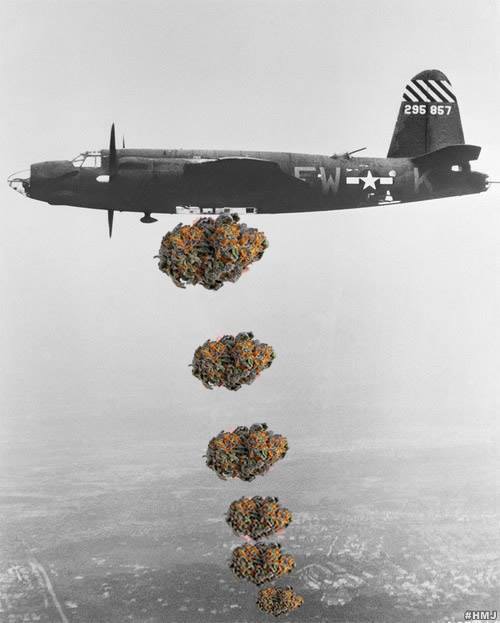 hippiememe:  drop weed. not bombs.