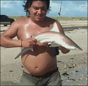 4gifs:  i’m a SHAAARK