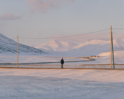 gardsater:  Just came back from Svalbard. Amazing place. The photograph is taken at midnight. 