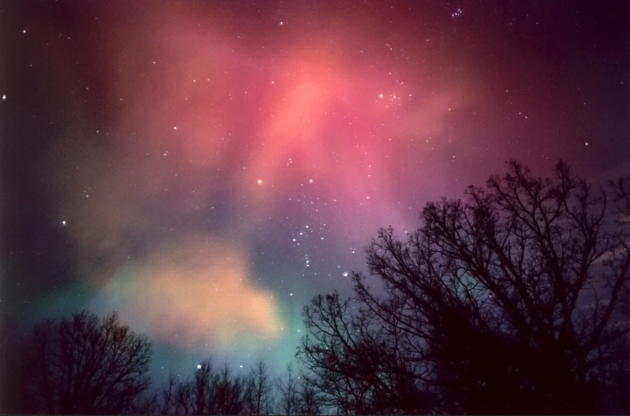 nevver:  Magnetic North