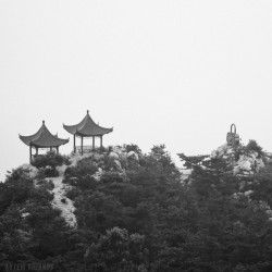 lizlizlovely:  Dalian, China