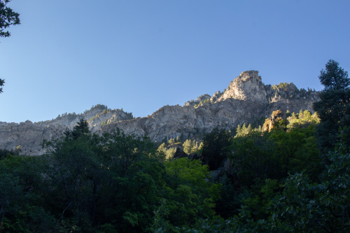 microcosmicobservations: Morning hike at Rock Canyon Facebook | Instagram | YouTube | Shop