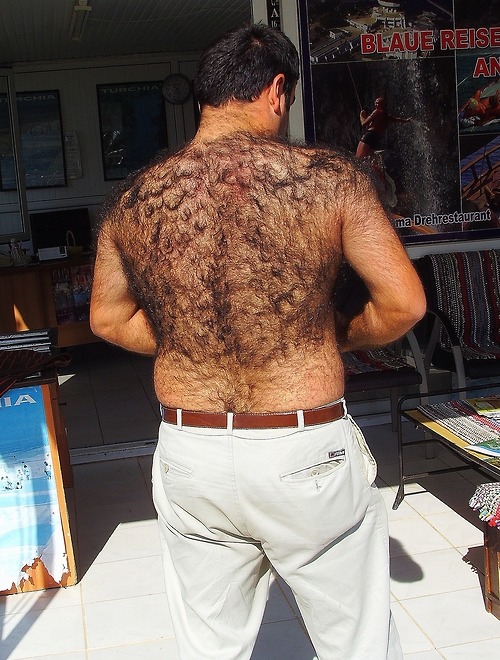 BACKFUR - Hairy/bear/horny/daddy
