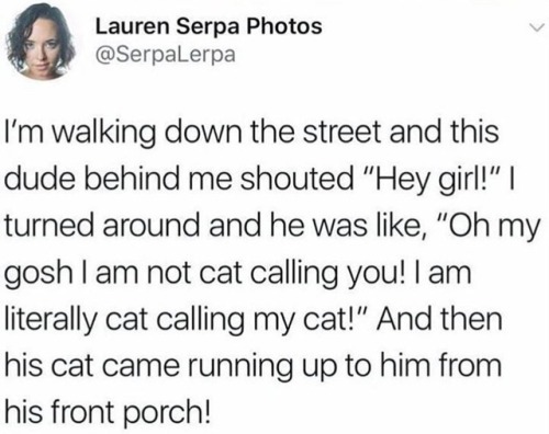 were-all-queer-here - The only time cat calling is acceptable