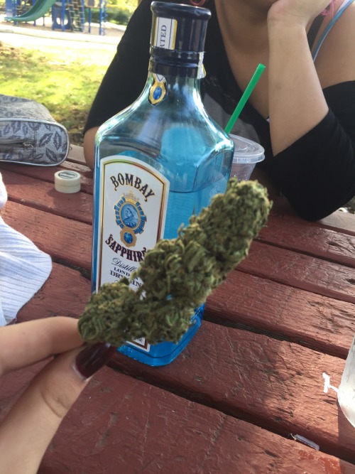 i use the tears of my enemies as bong water