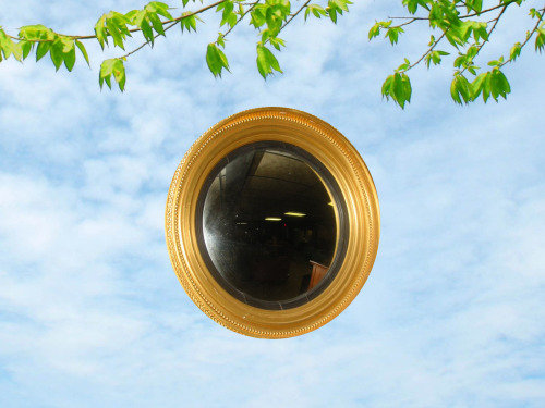 brightbrightday:   