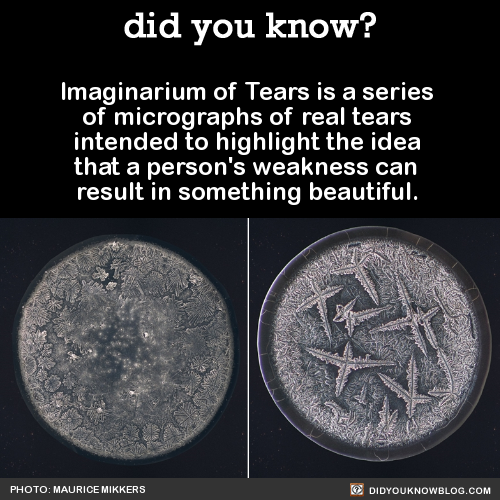did-you-kno:  Source