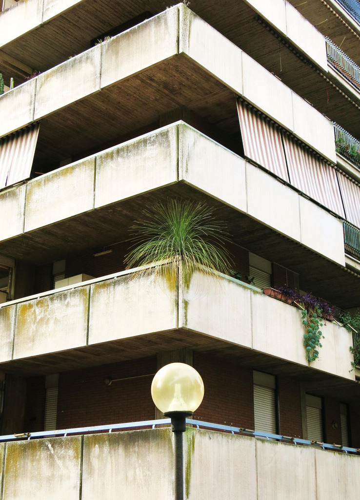 corascene:  11 (28) by use less useless words on Flickr 