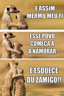 r-enacerei:  Suricate seboso