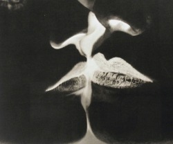 pentauroi: Man Ray