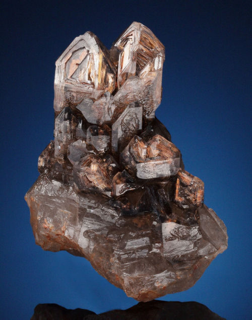 Elestial Smoky Quartz -  Brazil