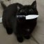 renmyu