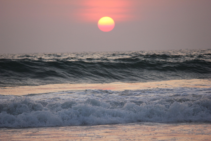 isawatree:  Shades by Satish S