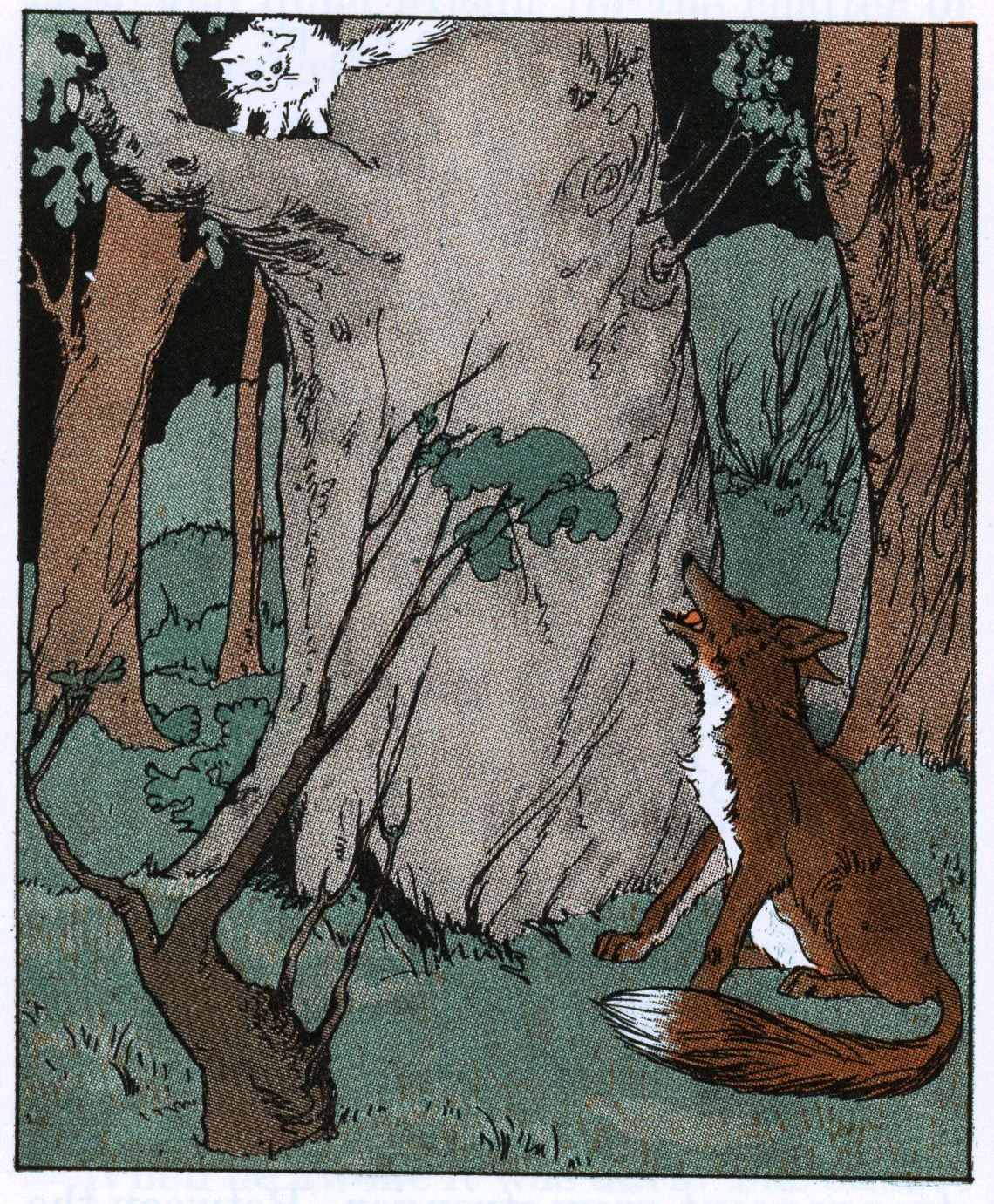uwmspeccoll: An Adventurous (and perhaps dangerous) Caturday It’s “The Adventures