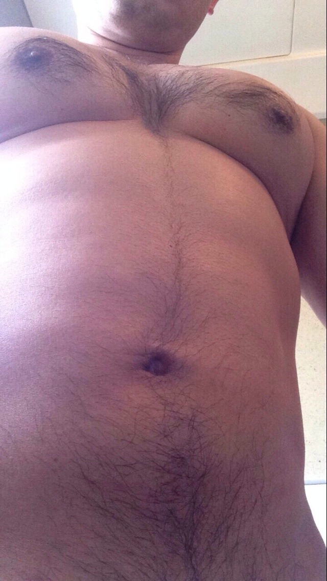 Asia bear