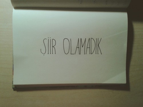plakadam:  ama şiir etmeden duramadık be 