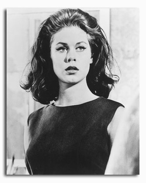 cheechmonger:  Elizabeth Montgomery  Elizabeth Montgomery