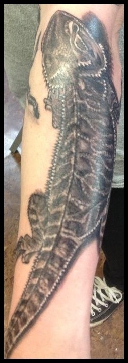 fuckyeahtattoos:  Part of my left sleeve - our bearded dragon, Morrissey. :) By Chelsea