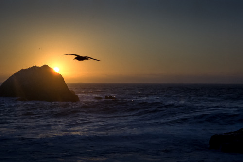 hjlphotos: Go West - near Half Moon Bay by hjl on Flickr.Canon 50mm FD f/1.8 on AE-1