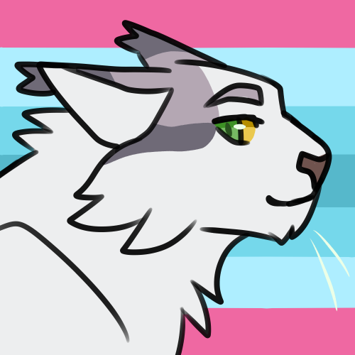 berrym00n:pride batch #9transmasc whitestorm, gay man ashfur, lesbian icecloudnonbinary leafstar, no