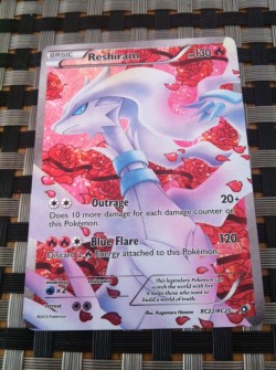 shushupu:  haha holy shit my little brother got me the fu ckigb bishōnen reshiram card im cryign LOOK AT IT 