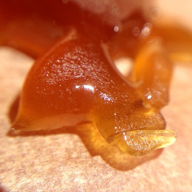 mokethatsweed:  #AfGoo #errl #shatter #nativerootsextracts ✌😎💨