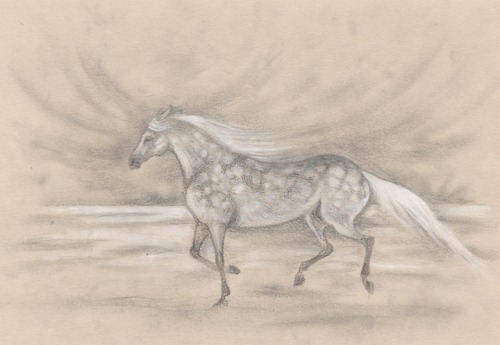 Horse near the sea - graphite and white pencil on sepia paper (A5)References and inspiration from ht