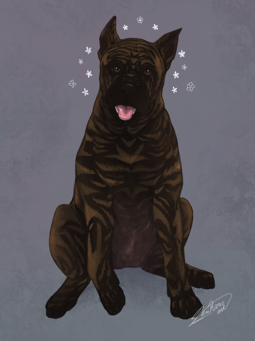 My friend’s Cane Corso for Doggust ⋆ Tip Patreon | Commissions | Insta | Twitter ⋆ 