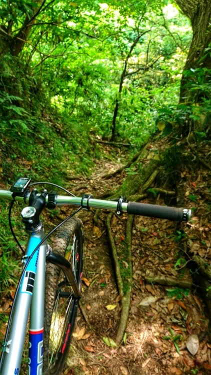 krs955:local trail patrol event, trail work, and local satoyama trail ride.