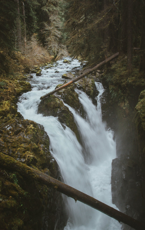 millivedder:  Waterfalls in Washington   Top left is Sol Duc Falls, top right is Merrymere Falls. Miss being a short drive from these 😩