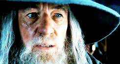 official-gandalf:mihtrandir:lotr meme{7/8 personal items} → Gandalf ‘s hatSomeone photoshop me on th