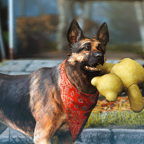 DOGMEAT + Teddy Bear 🧸 Fallout 4 (2015)