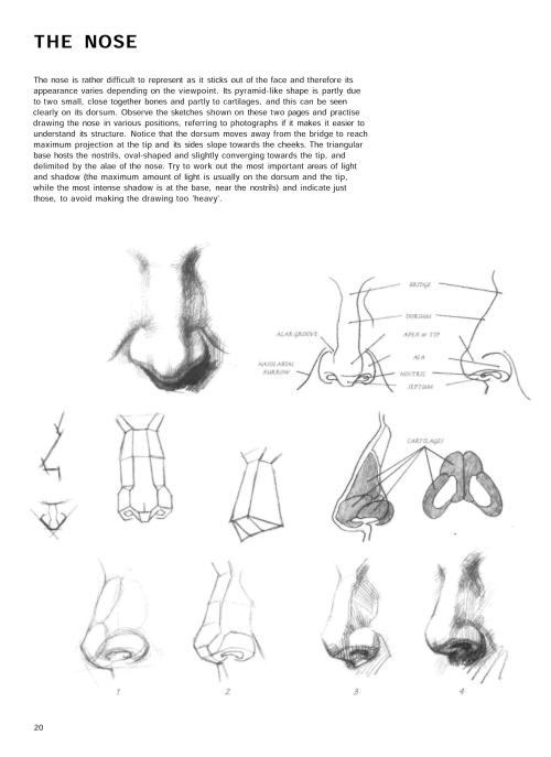 Porn anatoref:  NoseRow 1 & 2Row 3: Left & photos