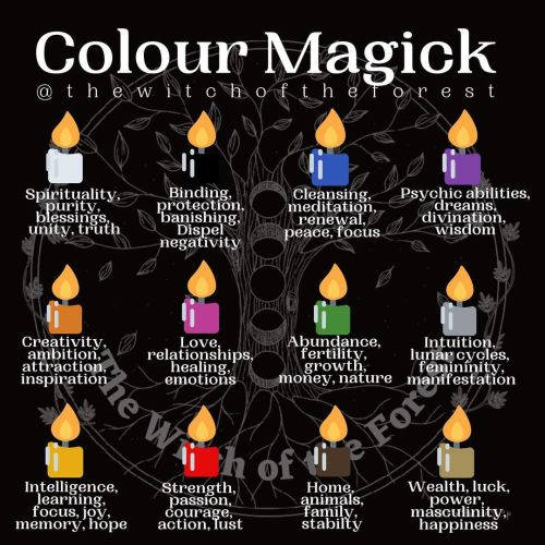 thewitchoftheforest: ✨C M✨ Colours are made up of different vibrational frequencies. As the world is