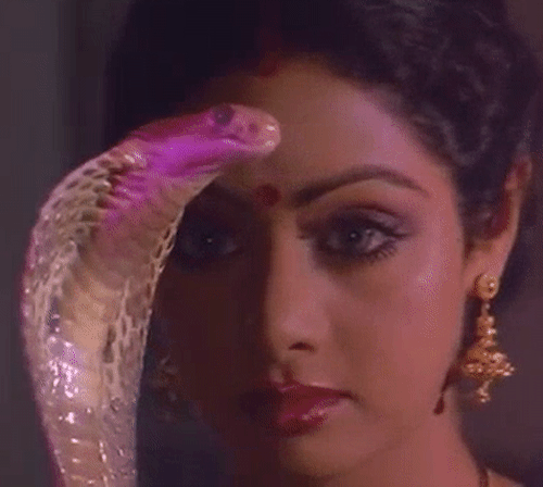 aphroditeinfurs:Nagina (1986)