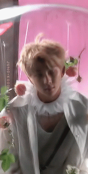 Flower Boy Joonie 