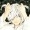 sadsoupdays-deactivated20211206:
