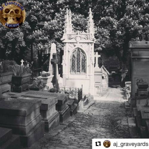 janinefwooten:  What an honor! #Repost @aj_graveyards with @repostapp ・・・ Aj_Graveyards Daily Feature Our daily feature is from the talented,  @theninid  Please join me in congratulating them on a job well done and be sure to checkout their outstanding