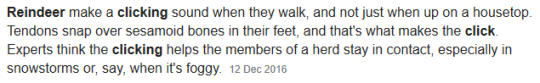 alloverthegaf: gaiusthegenius:  alloverthegaf: anyone else y’all got those clicky ankles Have you considered that you might be a reindeer?  did you just fucking know this 