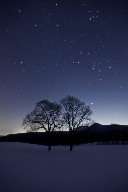 disminucion:Silent Winter Night (por Microlensing)