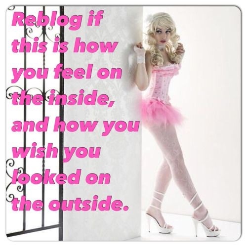 captainzanyturtlebouquetuniverse: A true sissy just wishes she was a woman.