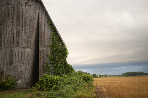 secret sky ~ catie newell / alibi studio | photos © alibi studio